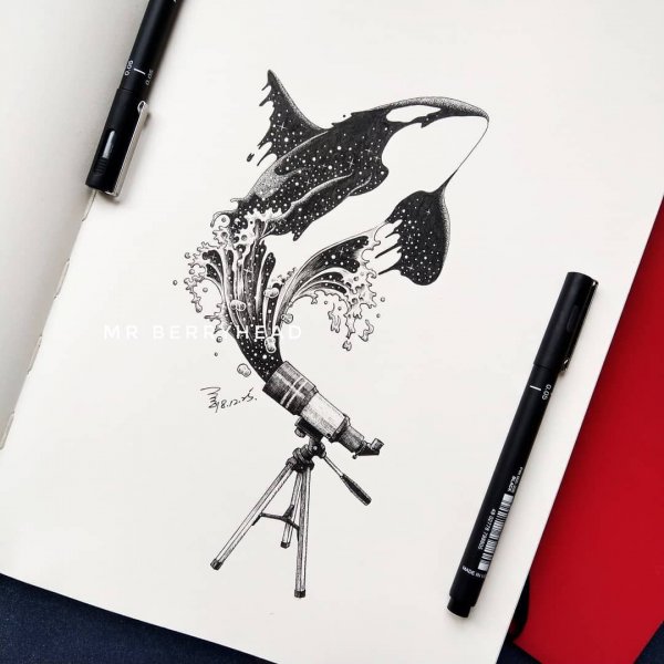 Рисунки лайнером