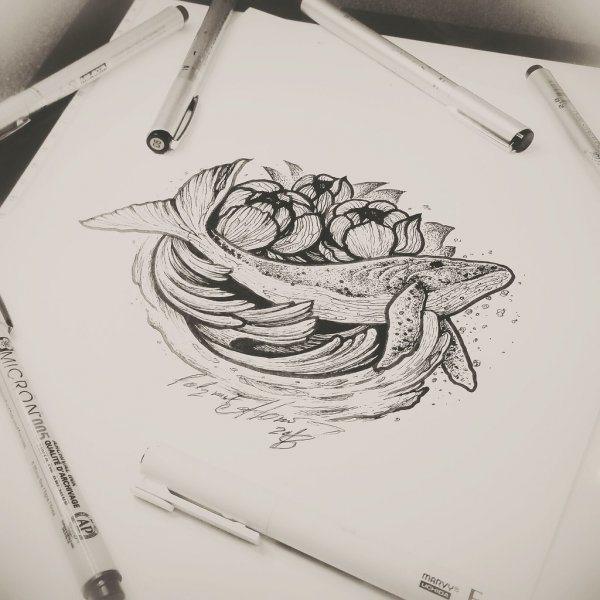 Скетчи лайнером