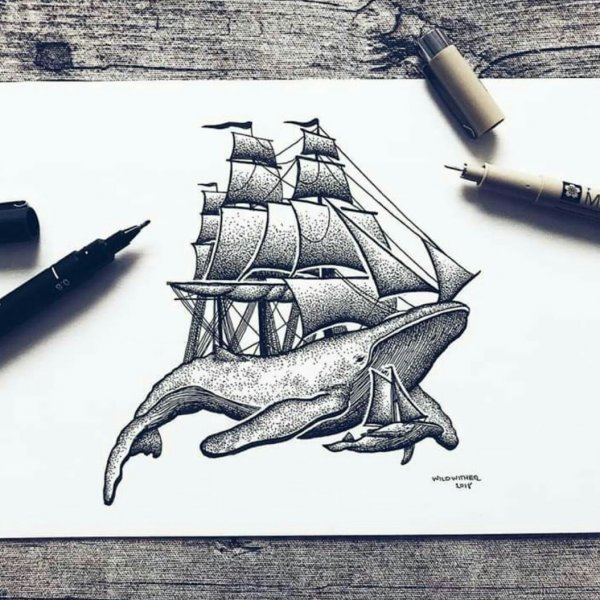 Рисунки лайнером