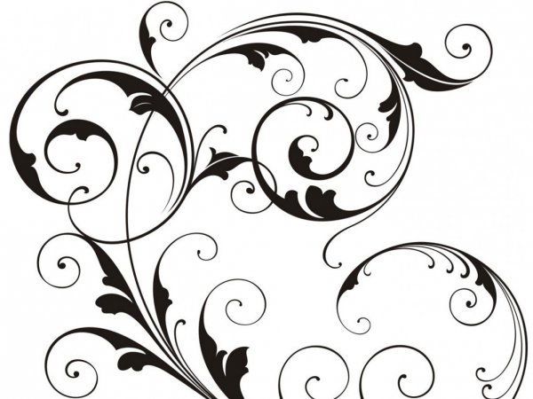 Красивый орнамент на белом фоне