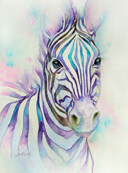 Зебра рисунок