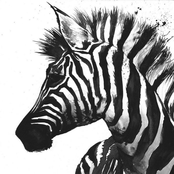 Зебра арт