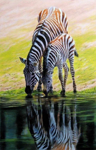 Зебра картина художника
