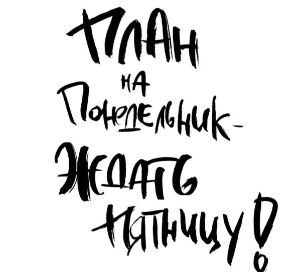 Смешные цитаты на белом фоне