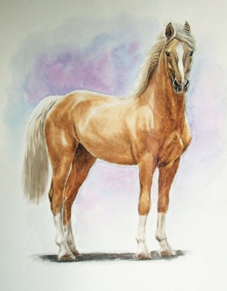 Нарисовать лошадь