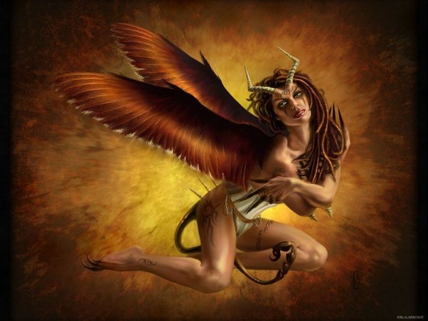 Борис Валеджио суккуб