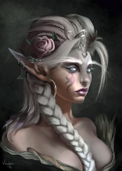 Красивые эльфийки