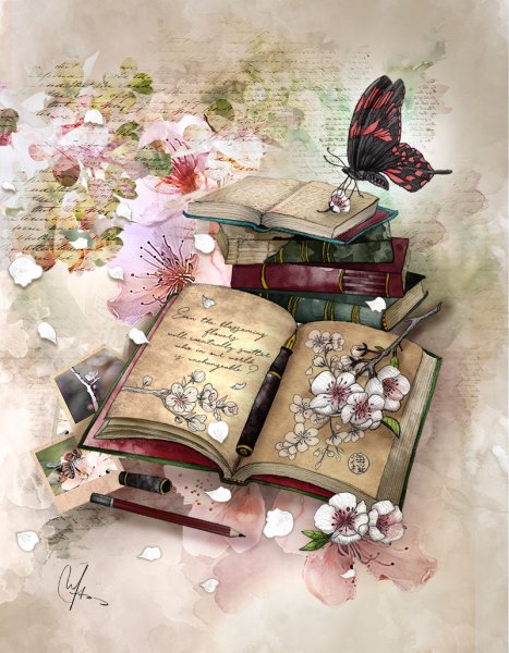 Красивые книги