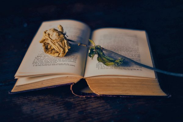 Красивая раскрытая книга