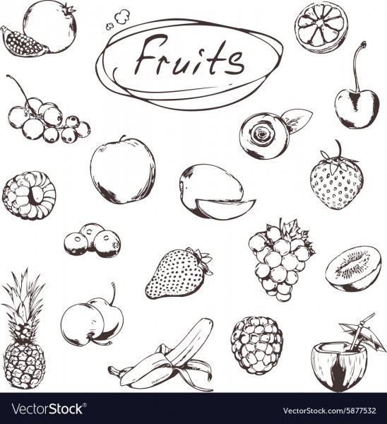 Скетч фрукты