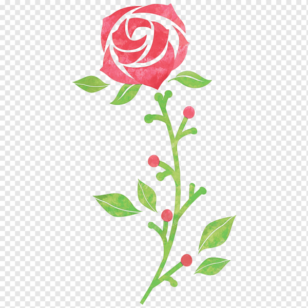 Декоративная роза рисунок