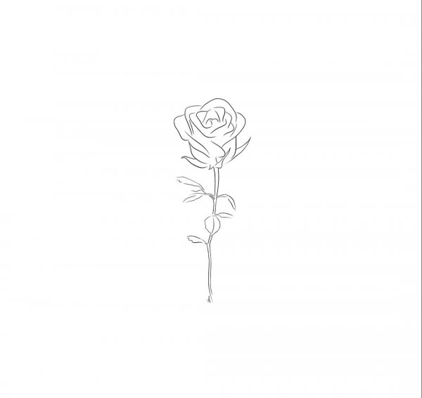 Роза Минимализм контур