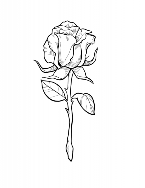 Розочка тату эскиз