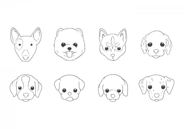 Маленькие собачки для срисовки