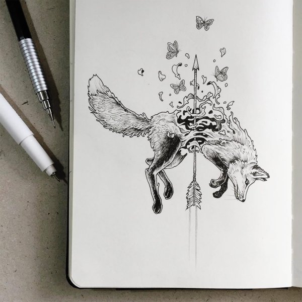 Керби Розанес лиса