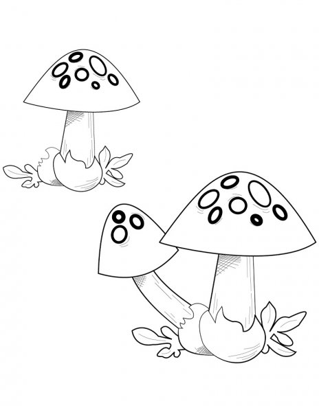 Гриб мухомор раскраска для детей