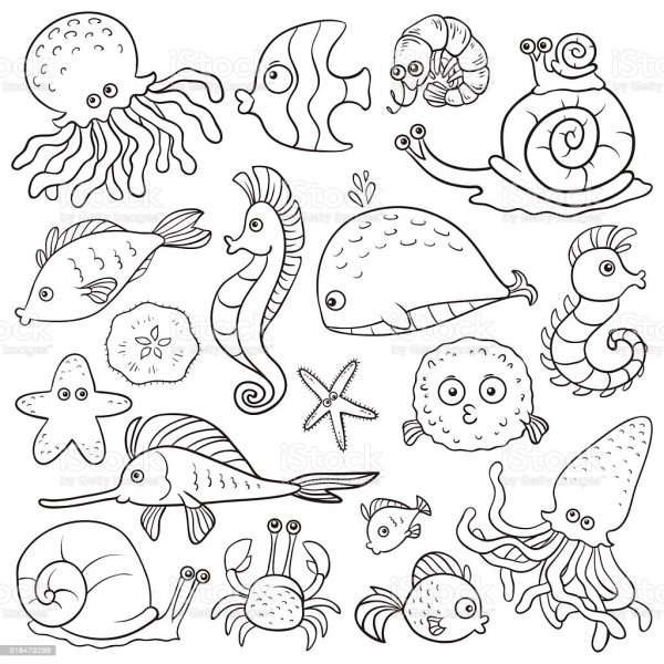Морские обитатели для распечатки
