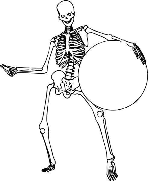 Скелет человека разукрашка