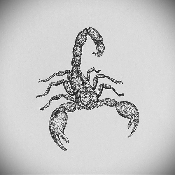 Скорпион тату эскиз дотворк