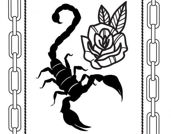 Скорпион и роза рисунок карандашом