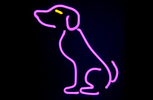 Неоновые собачки
