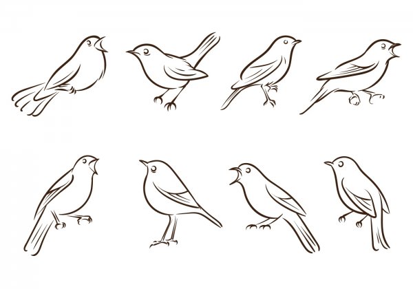 Маленькие рисунки птиц