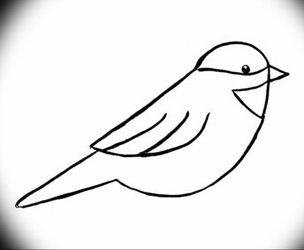 Трафареты птиц для рисования