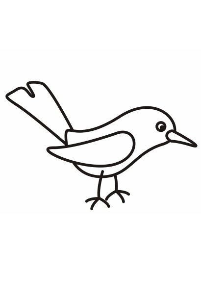 Птичка раскраска для малышей