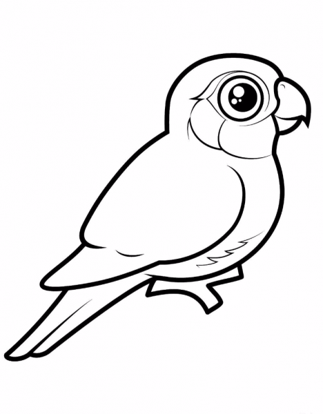 Птичка раскраска