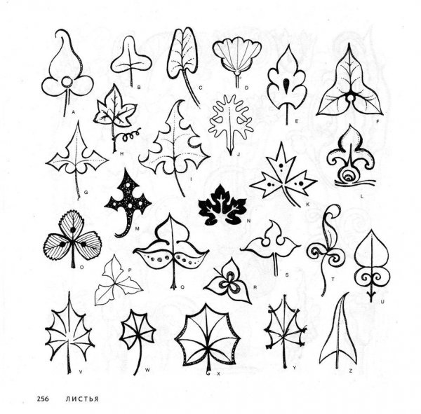 Лист растения стилизация