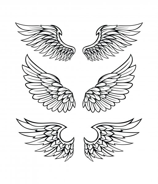 Крылья тату эскиз