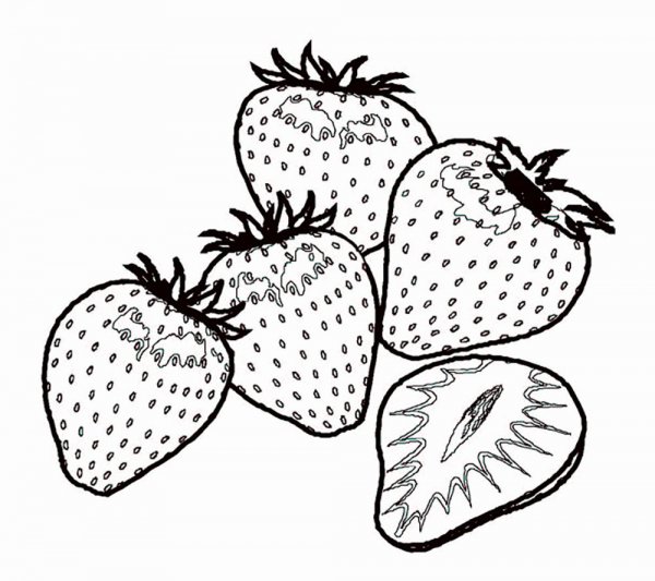 Клубника раскраска для малышей