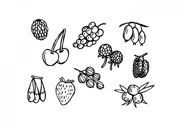 Разные ягоды раскраска