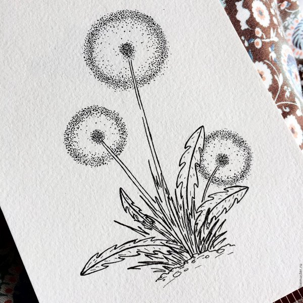 Одуванчик карандашом