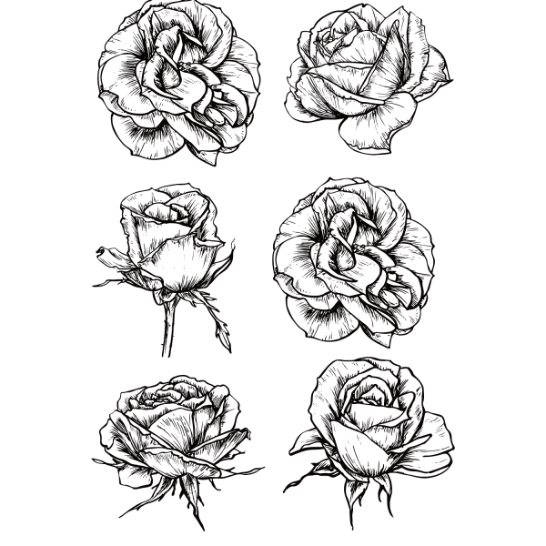 Роза тату эскиз черно белый