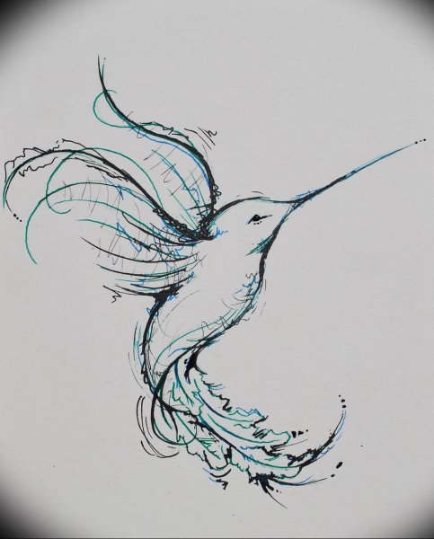 Тату эскизы птицы