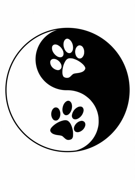 Кошачья лапка эскиз