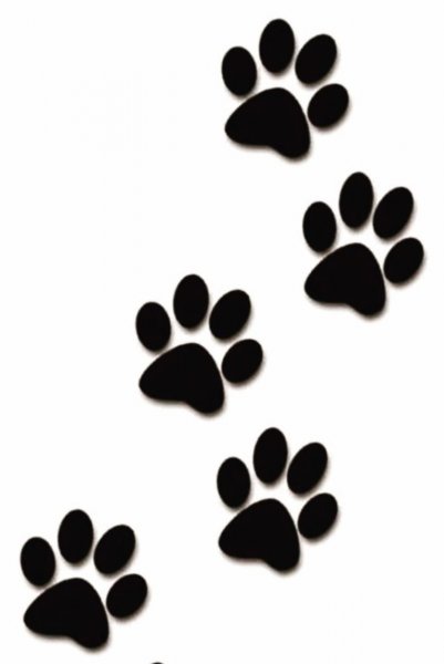 Трафарет лапки кошки