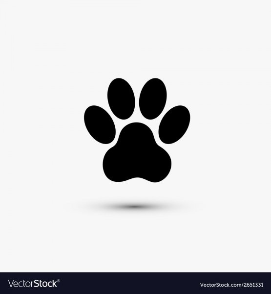 Лапки эскиз