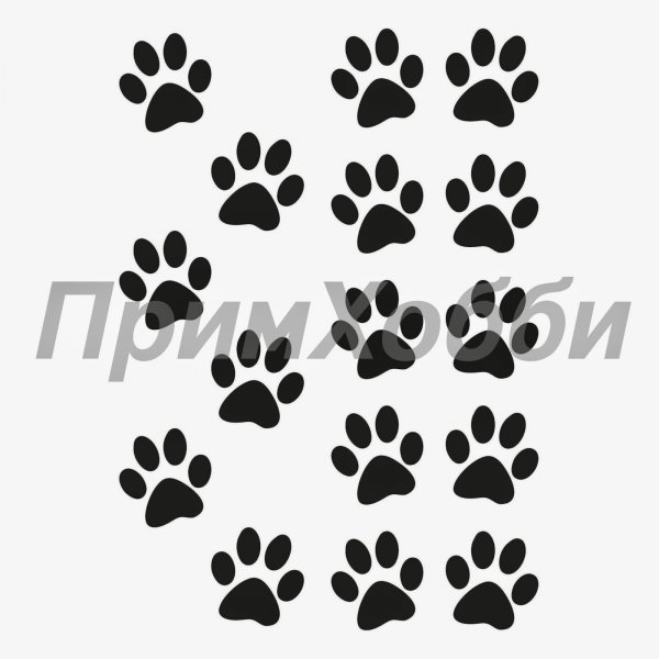 Следы кошки