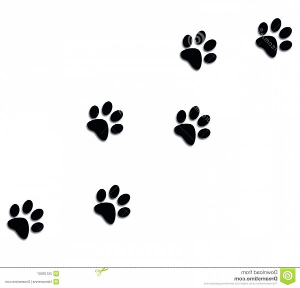 Следы маленьких лапок