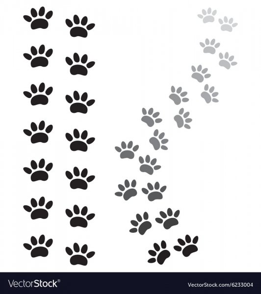 Орнамент следы животных