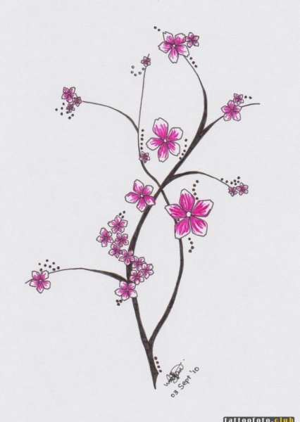 Рисование веточка Сакуры