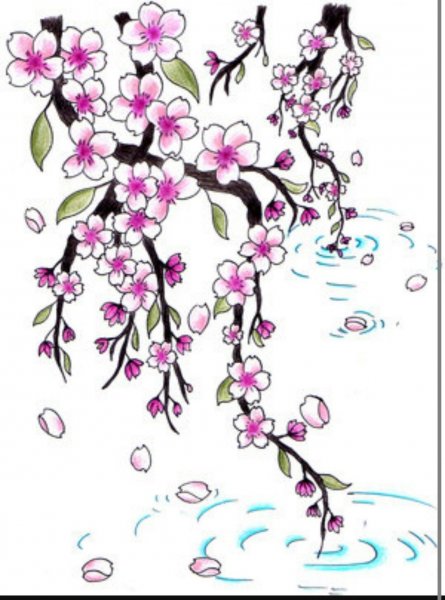 Цветы Сакуры эскиз