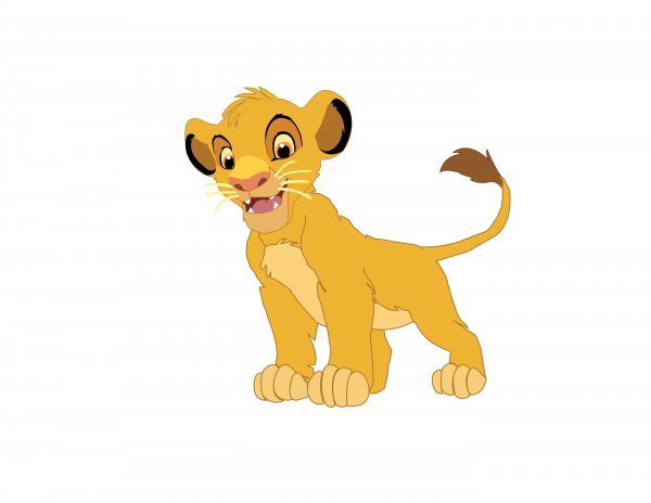 Львенок на белом фоне