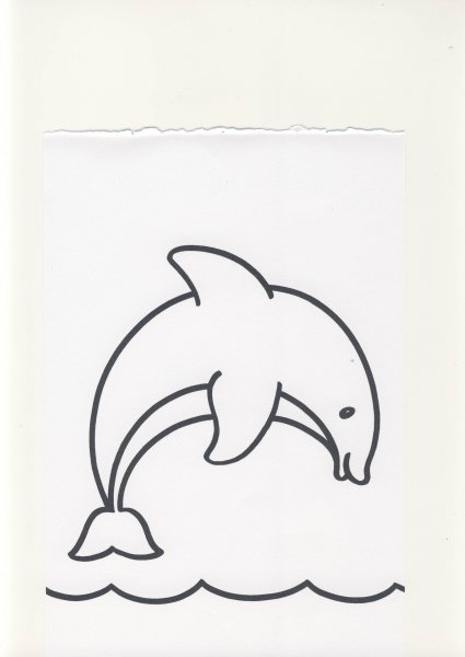 Раскраски маленькие дельфинчики