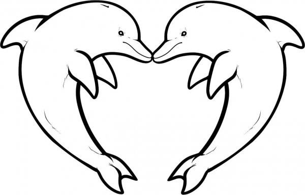 Раскраска Дельфинчик