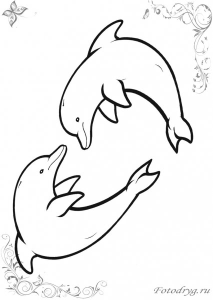 Раскраски для девочек дельфины