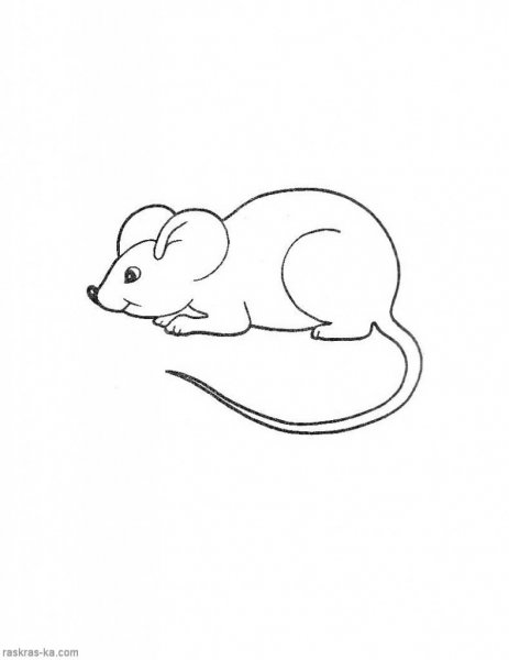 Мышь рисунок раскраска