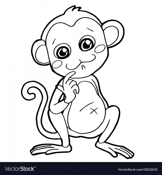 Мартышка раскраска